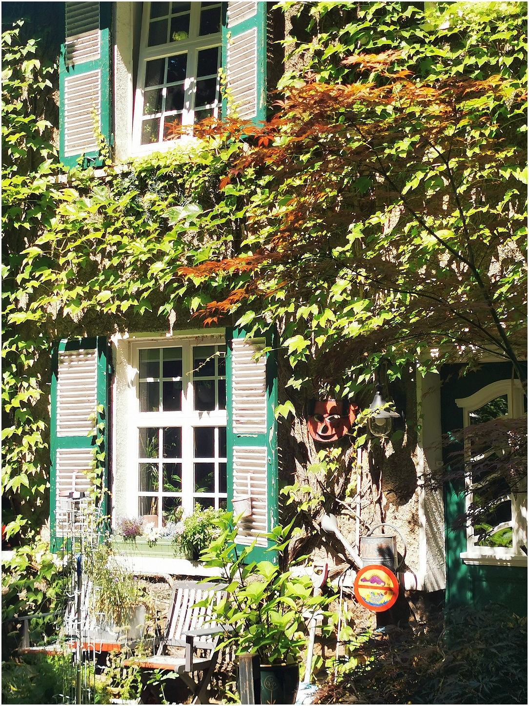 Blick über den Gartenzaun auf die Fassade eines Hauses mit grünen Fensterläden und weißen Sprossenfenstern, die von dichtem Efeu und anderen Kletterpflanzen überwuchert ist. An der Wand stehen 2 hölzerne Stühle, umgeben von verschiedenen Blumentöpfen und Gartenutensilien. Ein kleiner Baum mit rötlichen Blättern wirft Schatten auf die Szene. An der Wand hängt ein rundes Schild mit rotem Rand und gelbem Zentrum. Am rechten Bildrand befindet sich die grüne Eingangstür, in der oberen Hälfte befindet sich ein weiß umrahmtes Fenster.