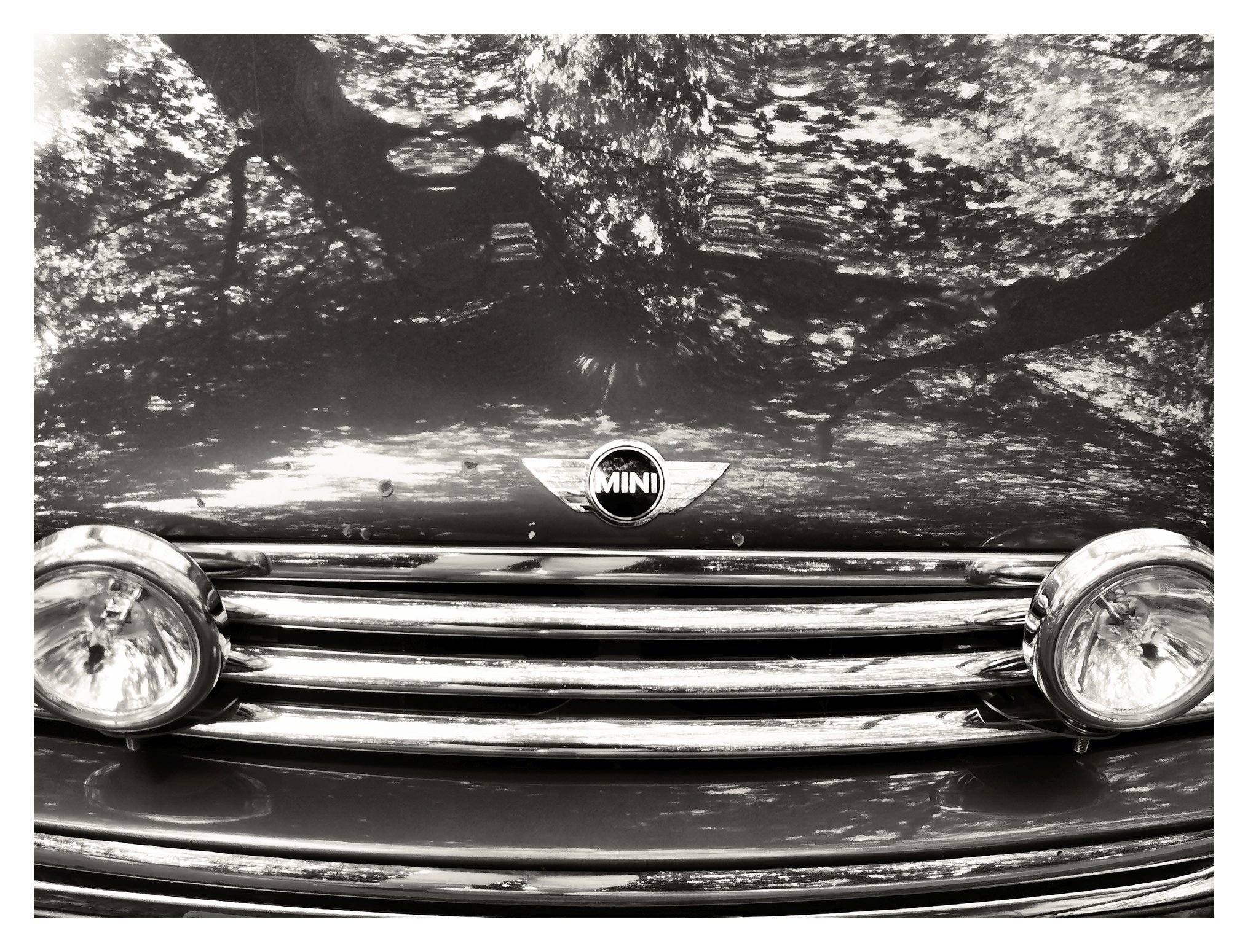 Der vordere Teil eines Fahrzeugs mit glänzender Motorhaube und zwei runden Scheinwerfern ist zu sehen. In der Mitte befindet sich ein Emblem mit dem Schriftzug 'MINI', das von horizontalen Chromstreben umgeben ist. Ab Mitte der Motorhaube spiegelt die hochglamzpolierte Oberfläche Bäume und Lichtmuster wider, das Fahrzeug 'verschwindet' in Reflexionen. Das Bild ist in schwarz-weiß gehalten.