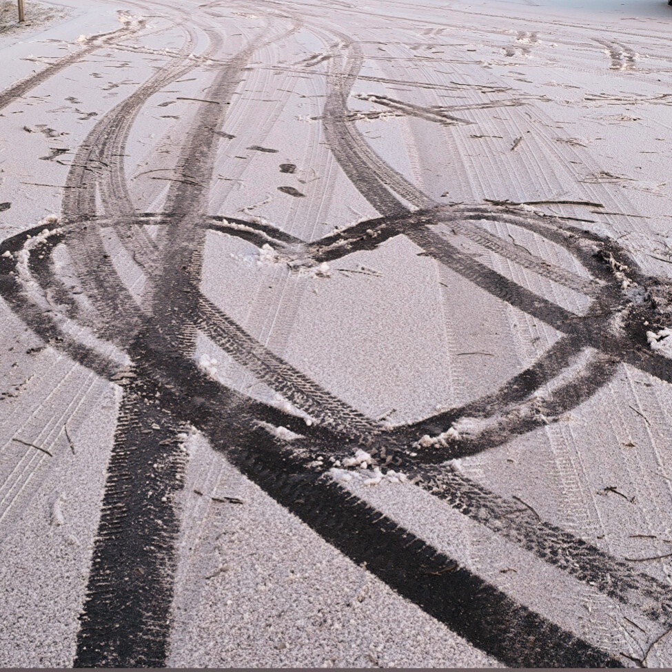 loopy@federation.network