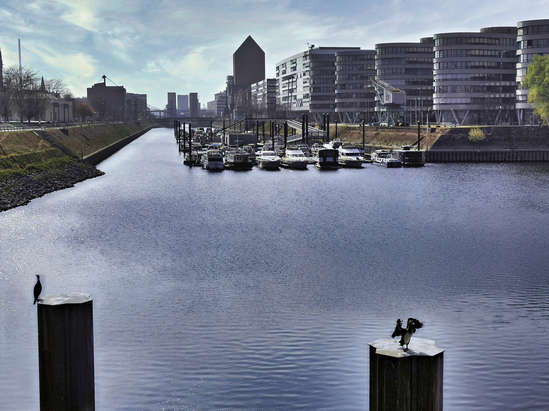 Blick auf den Duisburger Innenhafen mit Wasserfläche im Vordergrund, an deren Ufer moderne Büro- und Wohngebäude mit klaren Fassadenlinien stehen. Mehrere Boote liegen an Stegen vertäut. Zwei Vögel sitzen auf links und rechts einzeln stehenden Pfählen im Wasser.
