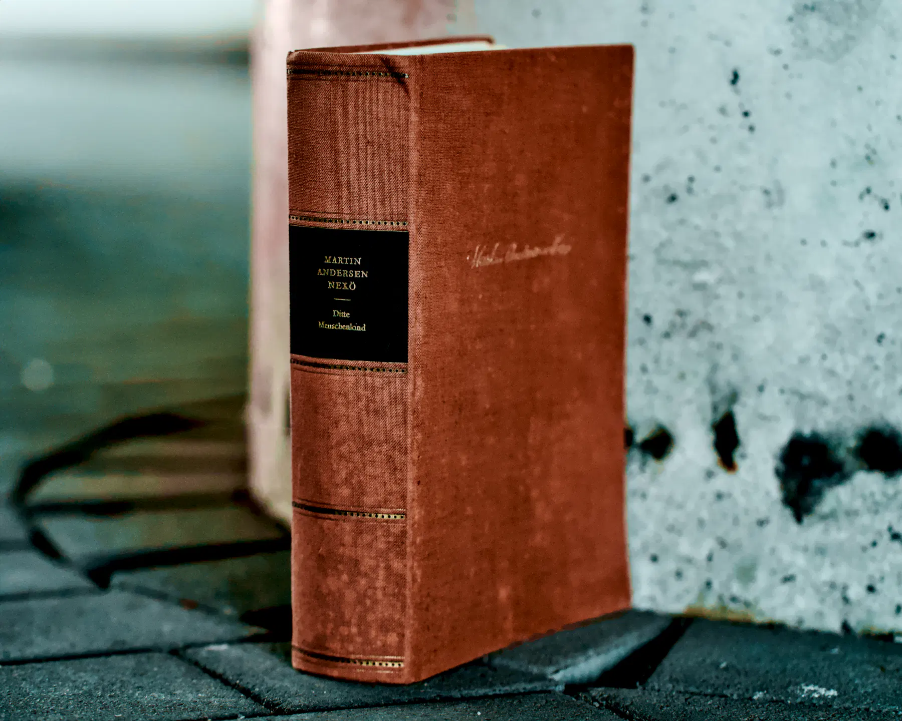 Ein altes Buch, wahrscheinlich aus den dreißiger Jahren des vergangenen Jahrhunderts, steht vor einer Betonsäule auf dem Kopfsteinpflaster. 
Das Buch ist rotbraun, mit goldener Schreibschrift auf dem Titel. Am Buchrücken ist ein schwarzes Quadrat mit dem Buchtitel "Ditte Menschenkind" von Martin Anderson Nexø.
.
An old book, probably from the 1930s, lies on the cobblestones in front of a concrete pillar.
The book is reddish-brown, with the title written in gold cursive. On the spine is a black square showing the title ‘Ditte Menschenkind’ by Martin Anderson Nexø.