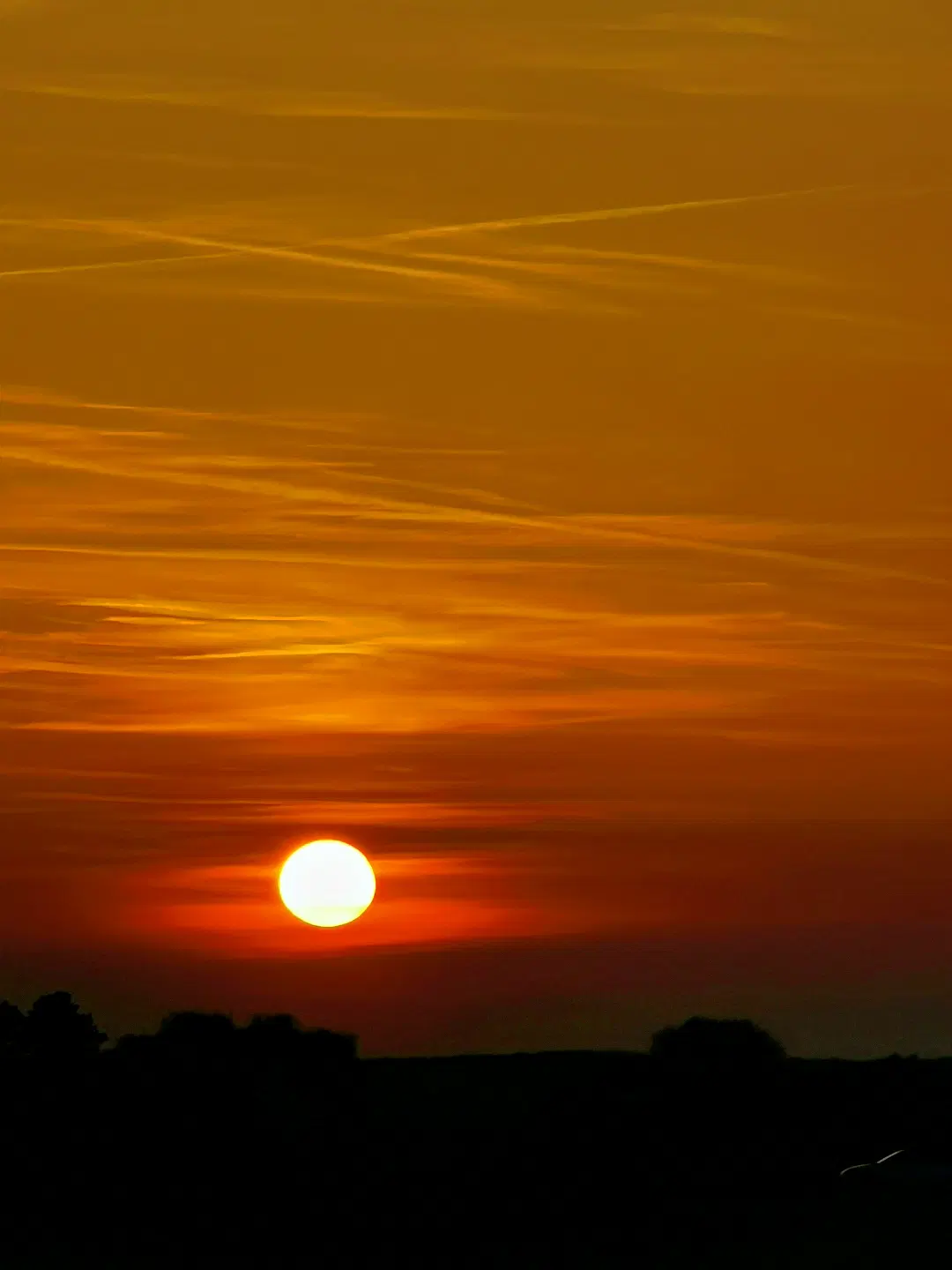 Die untergehende Sonne steht knapp über dem Horizont und leuchtet in kräftigem Orange und Gelb. Der Himmel ist von feinen, waagerechten Wolken durchzogen, die in verschiedenen Orangetönen schimmern. Am unteren Bildrand sind dunkle, silhouettenhafte Umrisse einer flachen Landschaft zu erkennen.