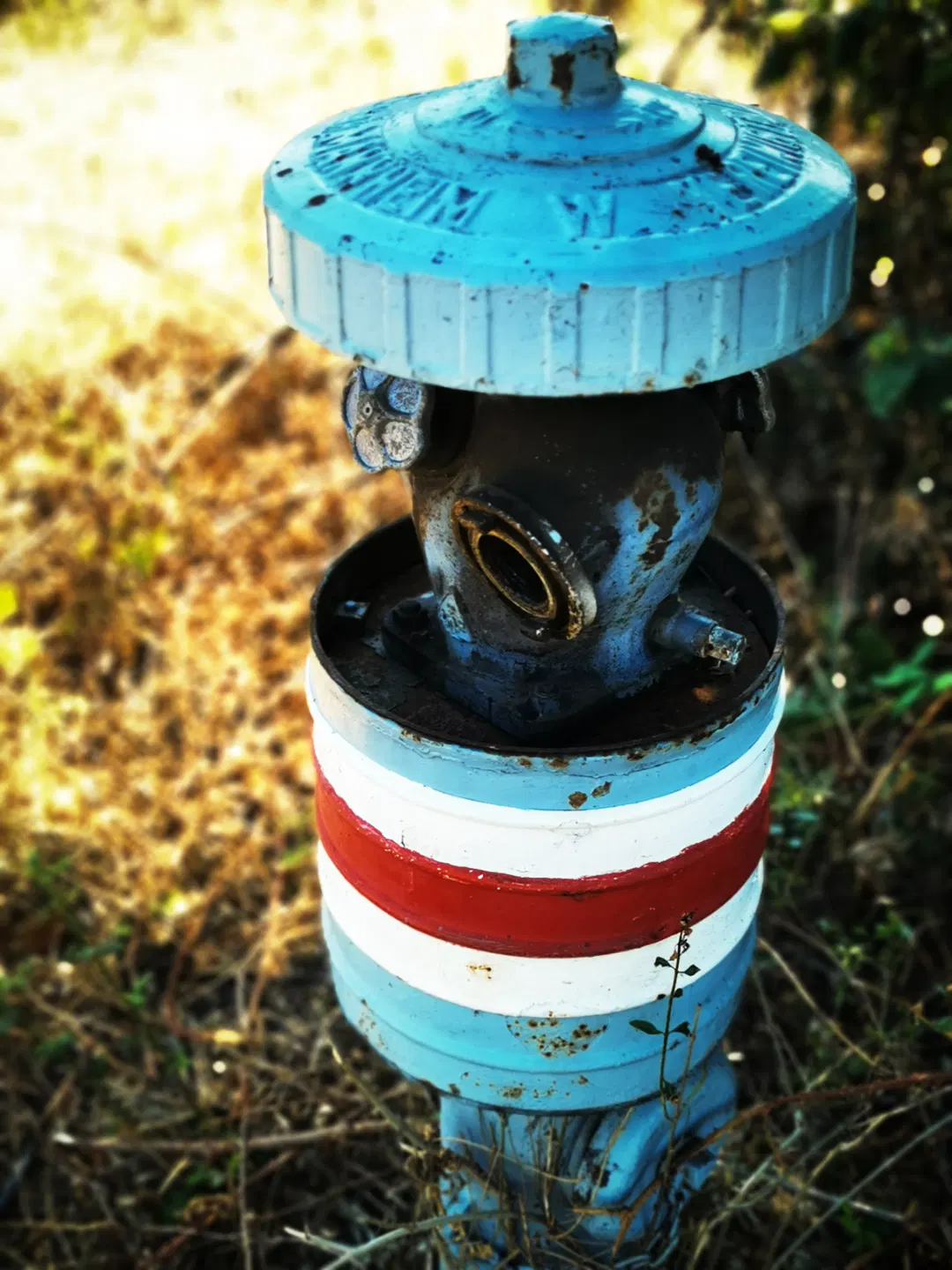 Ein alter, blaugrau lackierter Hydrant steht auf trockenem, braunem Gras. Der Hydrant trägt einen breiten weißen Streifen mit einem roten Mittelstreifen um den nach unten geschobenen Zylinder, dadurch sind die Anschlußterminals der Wasserrohre zu sehen, die sonst verborgen sind. Die Oberfläche zeigt Rostspuren und Abnutzungen. Im Hintergrund sind unscharfe Pflanzen und Sonnenleinstrahlungen zu erkennen.