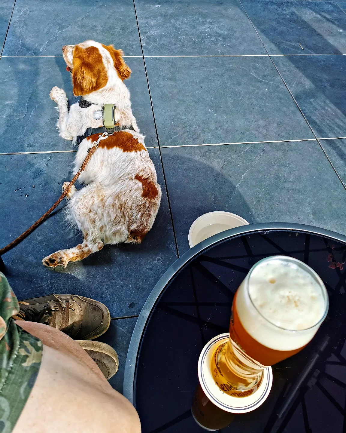 Ein Hund mit weiß-braunem Fell und Geschirr liegt auf einem dunklen Steinboden, rechts dahinter eine gefüllter Wassernapf. Im Vordergrund steht ein Glas Bier mit Schaum auf einem runden, schwarzen Tisch. Ein Bein in Tarnmuster-Shorts und abgenutzte Schuhe sind links neben dem Tisch sichtbar.