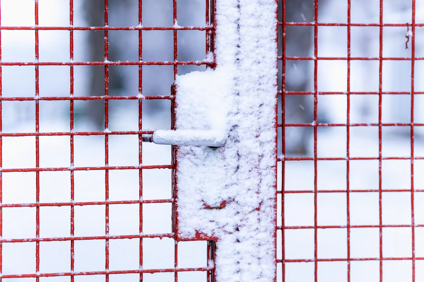 Gitter Tür mit Klinke, die Gitter sind rot und der Schließbereich verschneit. Durch die Gitter sieht man schemenhaft ein Gebäude.
