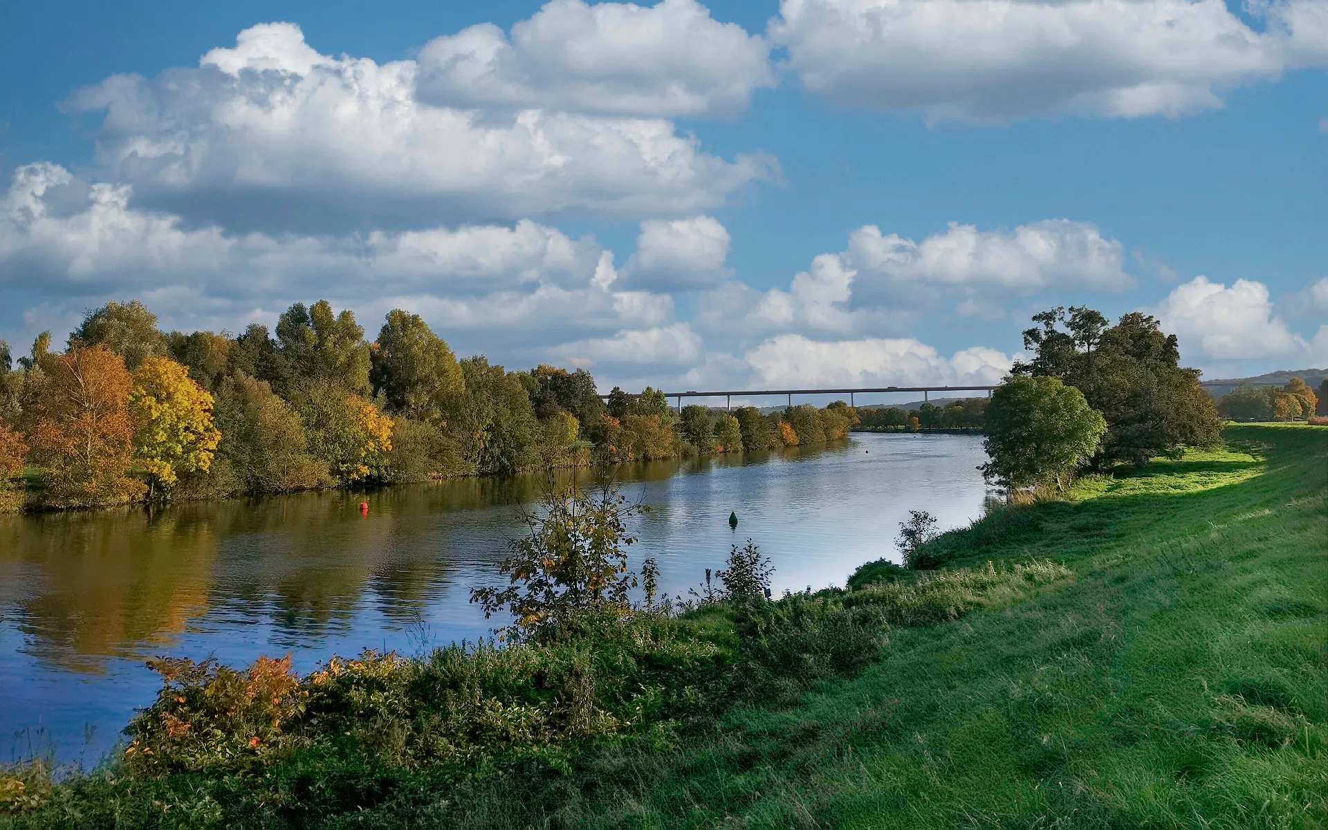 Das Foto zeigt die Flusslandschaft an der Ruhr zwischen Mülheim und Essen. Im Vordergrund erstreckt sich eine grüne Wiese entlang eines Flussufers. Die Ruhr fließt ruhig durch die Landschaft und spiegelt den Himmel sowie die umliegenden Bäume wider. Auf der gegenüberliegenden Seite säumen dichte, herbstlich gefärbte Bäume das Ufer. Im Hintergrund überspannt die Autobahnbrücke der A52 den Fluss. Darüber ziehen einzelne Wolken über einen blauen Himmel.